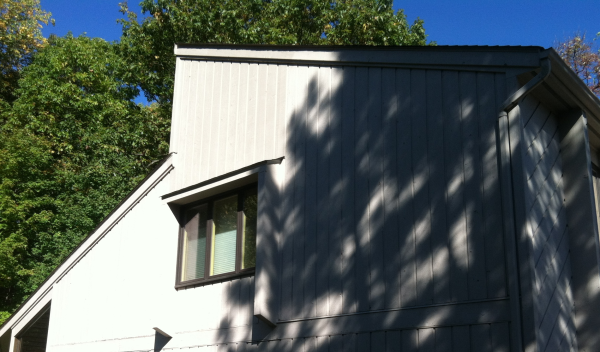 1981 home with lots of cathedral ceilings - and mold in one of the attics