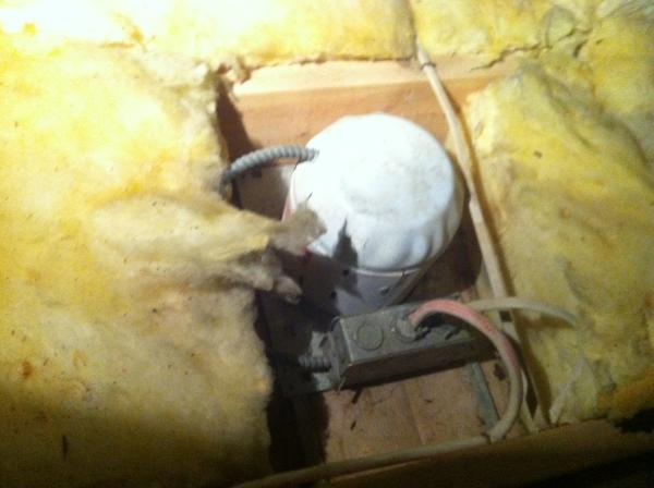 A non-IC, or non insulation contact rated, recessed light. These leak a lot of air and moisture, but one is not enough to explain the level of mold in this attic.