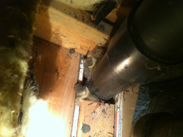 Round object in square hole! It's just as bad of an idea as it was when you were a kid. The gap around the plumbing stack allows air from inside the house to escape into the attic. It is a common thing that we air seal to reduce leakage from the house to the attic.