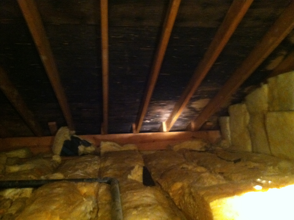 Mold in an attic caused by lots of air and moisture leakage