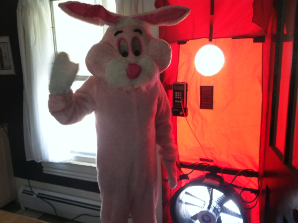 This is what a blower door looks like with the bonus of the Easter Bunny
