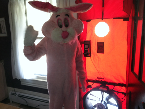 Blower door with the Easter Bunny