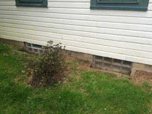 Uncovered window wells with landscaping sloping towards the house - this is a recipe for a wet basement.